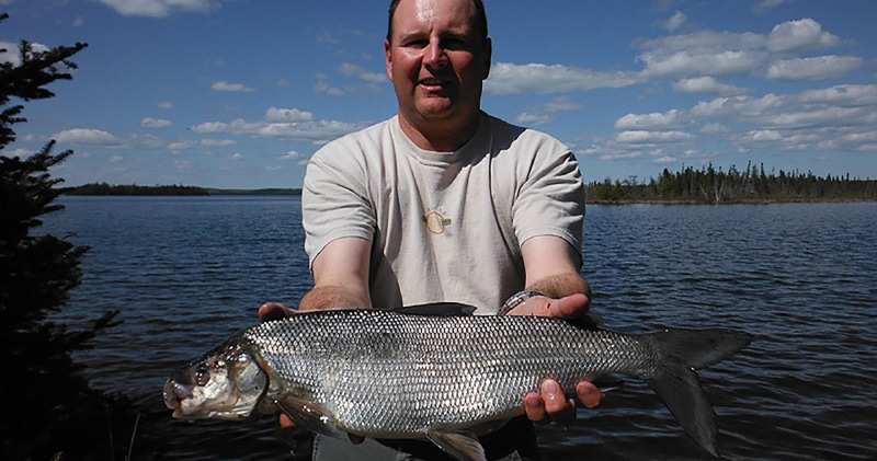 Mo-thay-bat-duoc-ca-trang